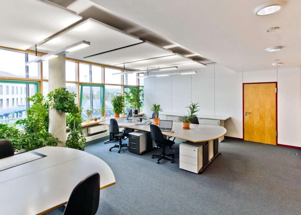 Văn phòng 30m2 không gian xanh mang đến không khí trong lành và thư giãn cho nhân viên khi làm việc