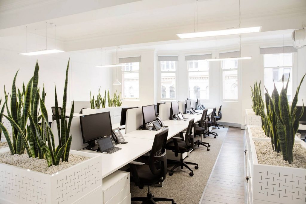 Mẫu văn phòng 30m2 thiết kế rất đơn giản chỉ bao gồm bàn và ghế làm việc. Sự xuất hiện của cây xanh khiến cho văn phòng trở nên bớt đơn điệu hơn
